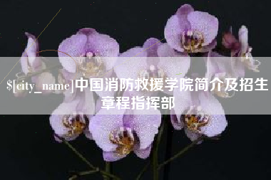 如东中国消防救援学院简介及招生章程指挥部
