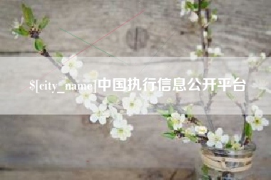 如东中国执行信息公开平台