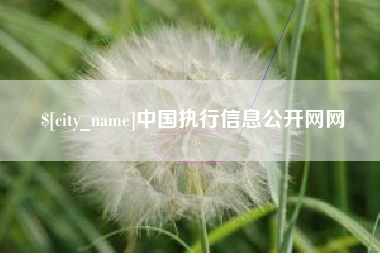 如东中国执行信息公开网网