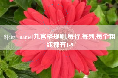 如东九宫格规则,每行,每列,每个粗线都有1-9