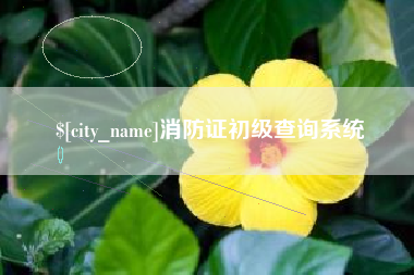 如东消防证初级查询系统