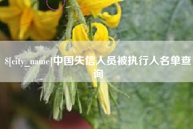 如东中国失信人员被执行人名单查询