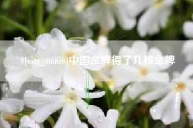 如东中国金牌得了几枚金牌