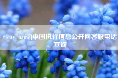如东中国执行信息公开网客服电话查询