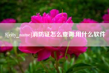 如东消防证怎么查询,用什么软件