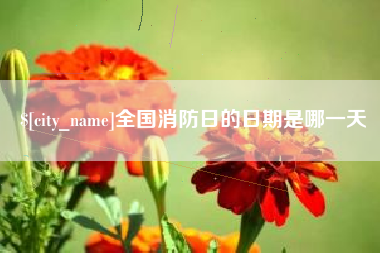 如东全国消防日的日期是哪一天