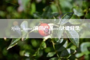 如东消防产品cccf认证目录
