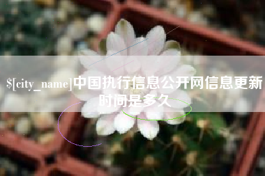 如东中国执行信息公开网信息更新时间是多久