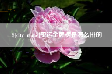 如东奥运金牌榜是怎么排的