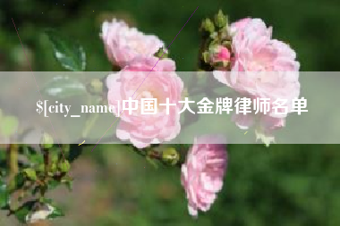 如东中国十大金牌律师名单