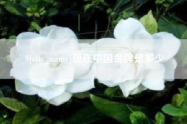 如东现在中国金牌是多少