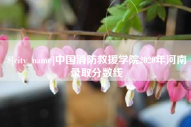 如东中国消防救援学院2020年河南录取分数线