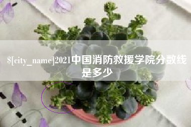 如东2021中国消防救援学院分数线是多少