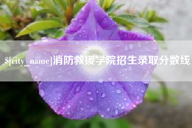 如东消防救援学院招生录取分数线