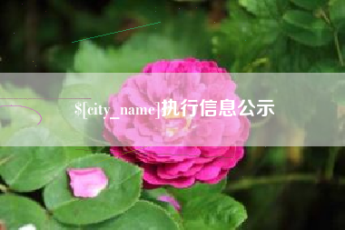 如东执行信息公示