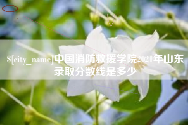 如东中国消防救援学院2021年山东录取分数线是多少