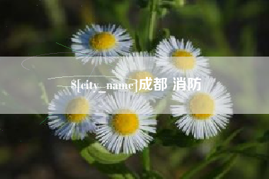 如东成都 消防