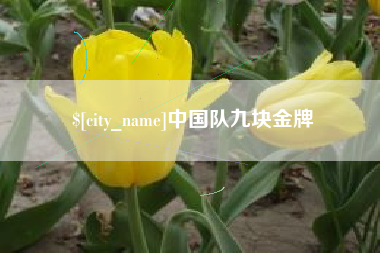如东中国队九块金牌
