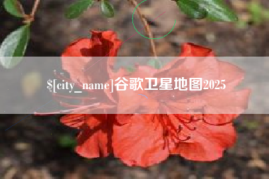 如东谷歌卫星地图2025