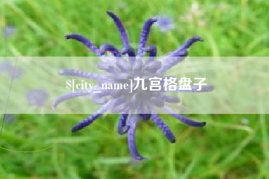 如东九宫格盘子