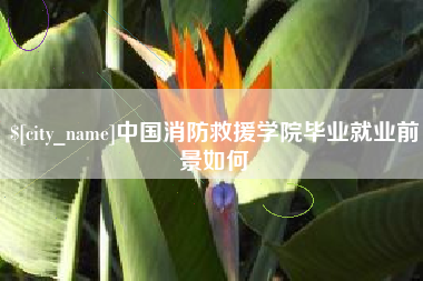 如东中国消防救援学院毕业就业前景如何