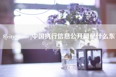 如东中国执行信息公开网是什么东西