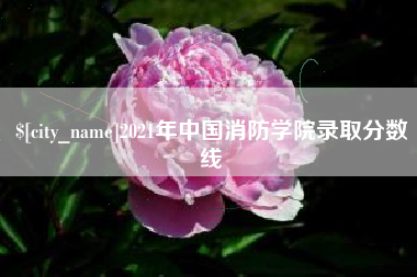 如东2021年中国消防学院录取分数线