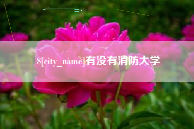 如东有没有消防大学