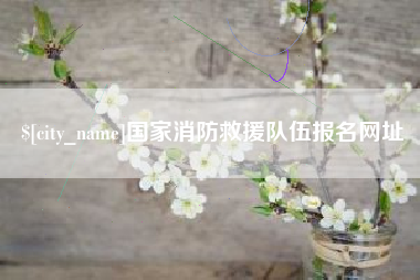 如东国家消防救援队伍报名网址