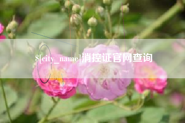 如东消控证官网查询
