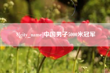 如东中国男子5000米冠军