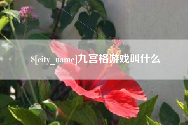 如东九宫格游戏叫什么
