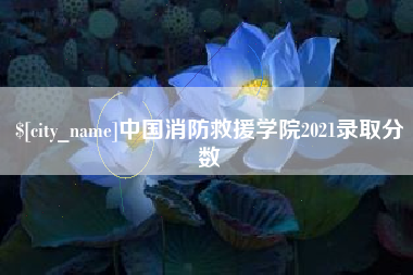 如东中国消防救援学院2021录取分数