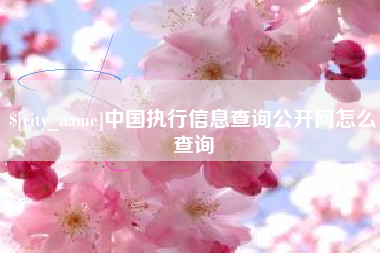 如东中国执行信息查询公开网怎么查询