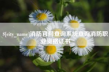 如东消防官网查询系统查询消防职业资格证书