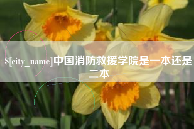 如东中国消防救援学院是一本还是二本