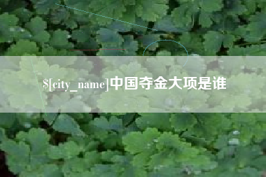 如东中国夺金大项是谁