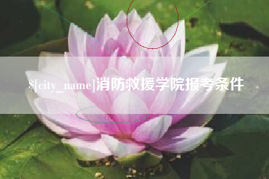 如东消防救援学院报考条件