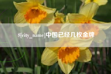 如东中国已经几枚金牌