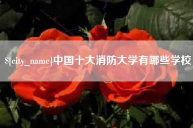 如东中国十大消防大学有哪些学校