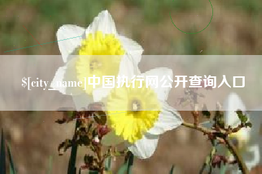 如东中国执行网公开查询入口