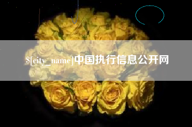 如东中国执行信息公开网