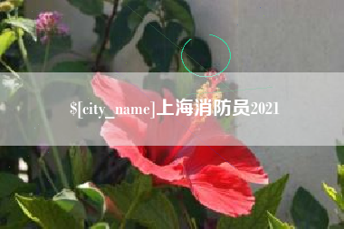 如东上海消防员2021