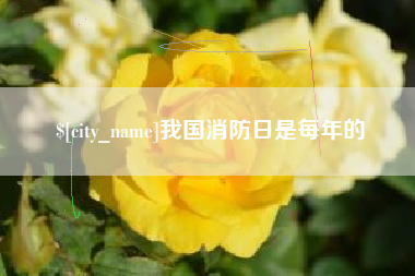 如东我国消防日是每年的