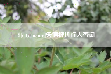 如东失信被执行人杳询