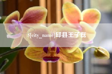 如东邱县王子磊