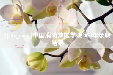 如东中国消防救援学院2020年录取结果