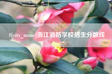 如东浙江消防学校招生分数线