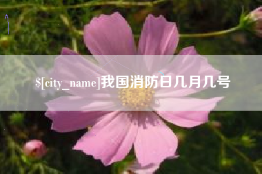 如东我国消防日几月几号