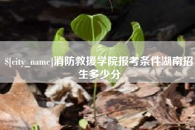 如东消防救援学院报考条件湖南招生多少分